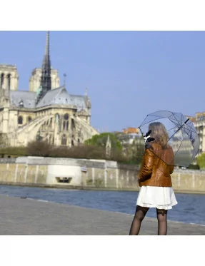 Smati parapluie femme transparent à motif chien