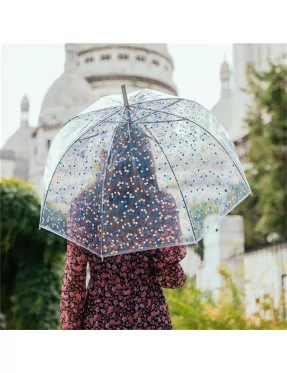 parapluie transparent fantaisie Smati