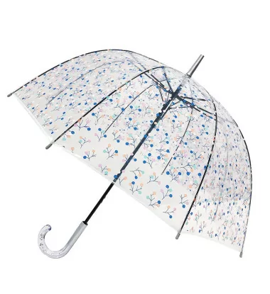 parapluie transparent fantaisie Smati