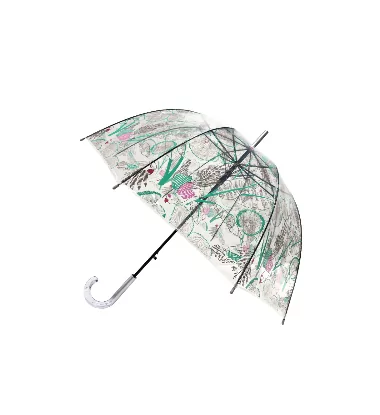 parapluie transparent cloche perroquet